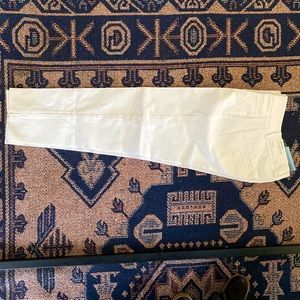 NWT Anne Taylor Petite 00 white Crop Pant